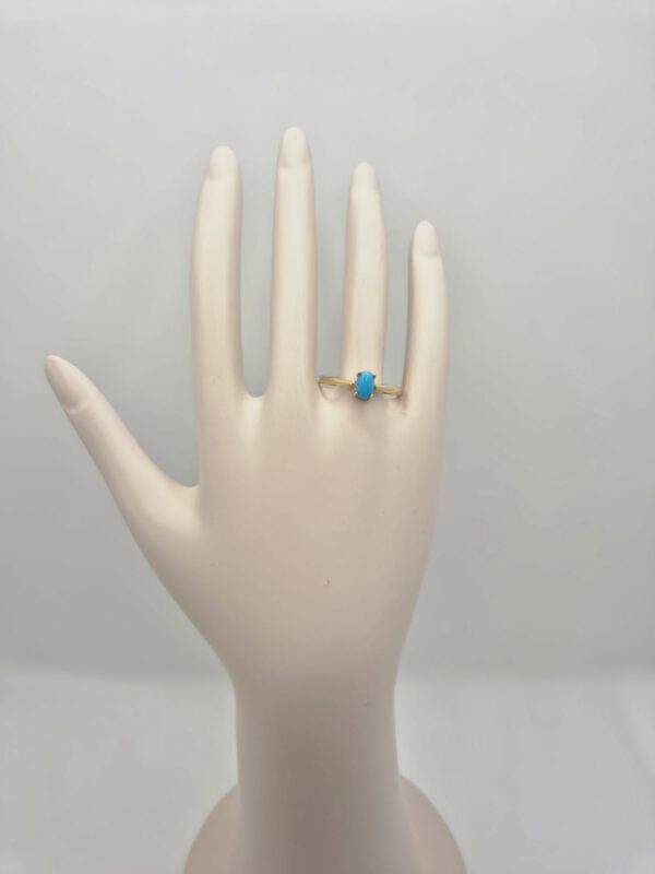 Ring Blaustein